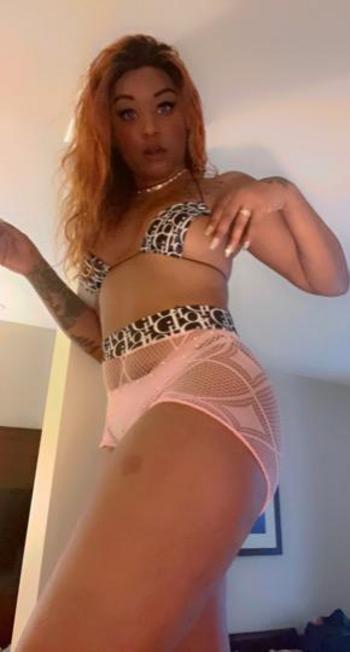 8645132885, female escort, Charleston